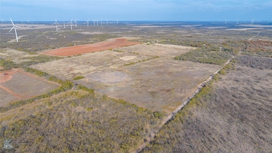 6000 Private Road 1091, Clyde, TX 79510 - photo 3