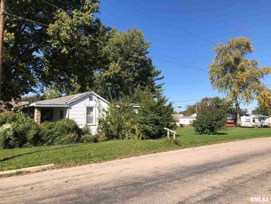 1330 Delavan St, Lincoln, IL 62656 - photo 3