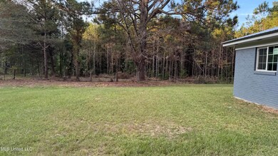 2906 Highway 15, Newton, MS 39345 - photo 5