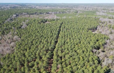 TBD County Road 3217, Atlanta, TX 75551 - photo 5