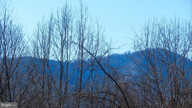 0 Lee Hwy unit 1000162279, Sperryville, VA 22740 - photo 7