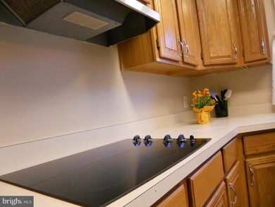 103 Lane St, Stephens City, VA 22655 - photo 6