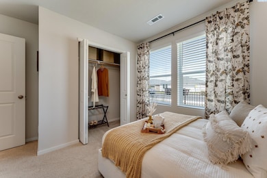 6014 Road 115, Pasco, WA 99301 - photo 5