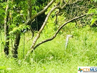 TBD 4th St, Bruceville-Eddy, TX 76524 - photo 5