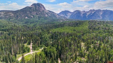 Tract 11 Lime Creek Rd, Durango, CO 81301 - photo 6