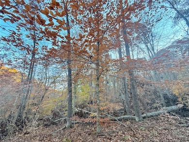 0 W Deaver Rd, McConnelsvle, OH 43756 - photo 3