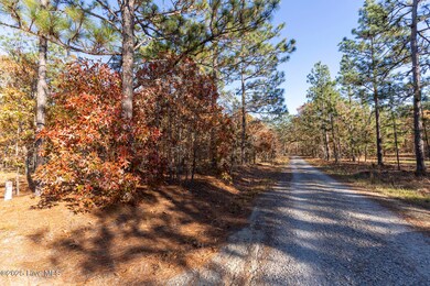 465 Roundabout Rd, Carthage, NC 28327 - photo 5