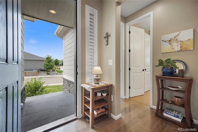 6324 Leilani Dr, Castle Rock, CO 80108 - photo 6