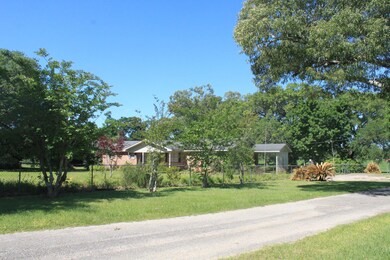 Driveway view 1
