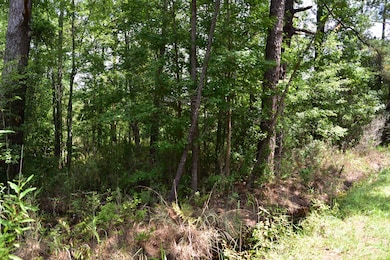 0 Cherry Hill Rd unit 25023693, Hollywood, SC 29449 - photo 3