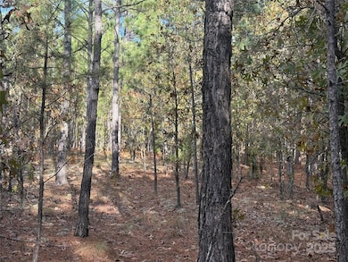 0 Fox Rd, Marston, NC 28363 - photo 6