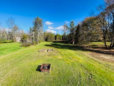867 Back yard 2