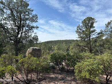 1703 E Redbud Ct unit 878, Payson, AZ 85541 - photo 5