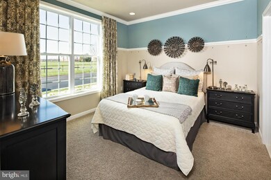 23255 Carters Meadow Terrace, Ashburn, VA 20148 - photo 5