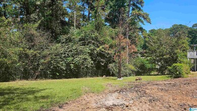 952 Crown Dr unit 1, Birmingham, AL 35235 - photo 6