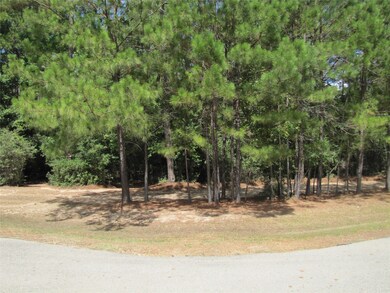 29233 Village Oaks Ct, Magnolia, TX 77355 - photo 2