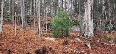 0 Thompsonville Rd, Thompson, NY 12701 - photo 7