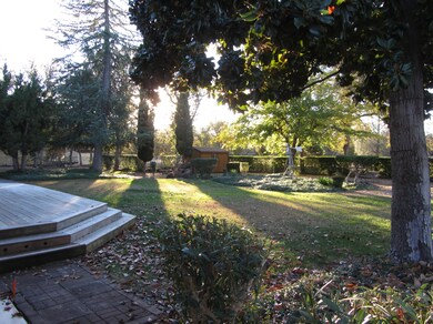 01d]Backyard3