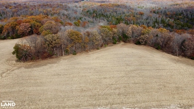 0000 Polston Ln, Hickory Grove Township, MO 63357 - photo 3