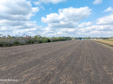 Tbd Ches Courville Rd, Breaux Bridge, LA 70517 - photo 6