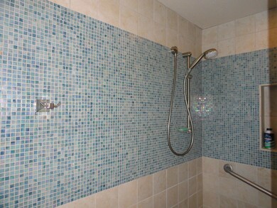 Master walk-in shower