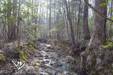 0 Cowpens Pacolet Rd unit 23075109, Spartanburg, SC 29307 - photo 4