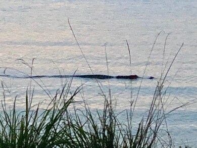 0 La Jolla Ct unit 21761251, Huntsville, TX 77320 - photo 6