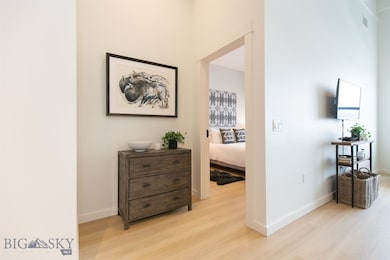 515 W Aspen St unit 317, Bozeman, MT 59715 - photo 6