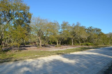 000 W Royal Oak Dr, Keaton Beach, FL 32348 - photo 2