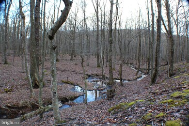 Lot 33 Beech Ln, Capon, WV 26801 - photo 2
