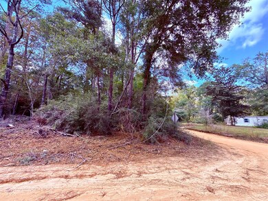 0 Warpath Dr unit 10488325, Livingston, TX 77351 - photo 5