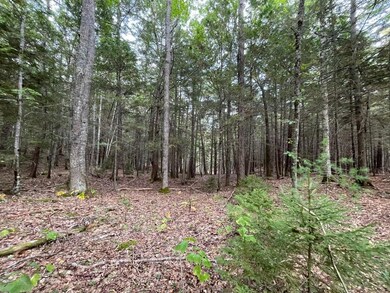Lot G Blue Ridge Acres, Bristol, ME 04539 - photo 4