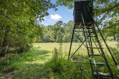 1602 Patterson Rd, Yazoo City, MS 39194 - photo 4