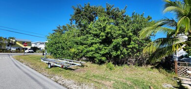 Pandorea side