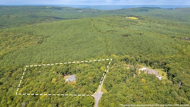 81 Horseshoe Bend Rd, Signal Mountain, TN 37377 - photo 7