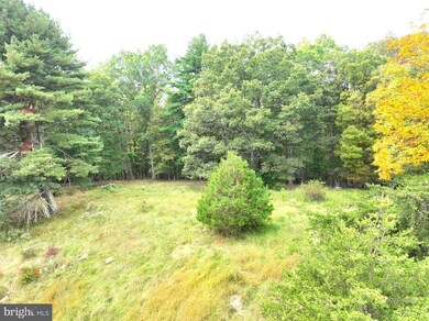 36.02 AC Parker Hollow Rd, Lost River, WV 26801 - photo 6