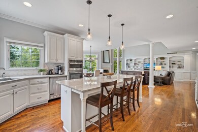 1740 Robert Ln, Naperville, IL 60564 - photo 5