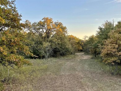 TBD E Lone Star Rd, Weatherford, TX 76088 - photo 3