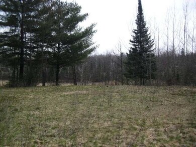 N 8992 Deer Tr, Tomahawk, WI 54487 - photo 6