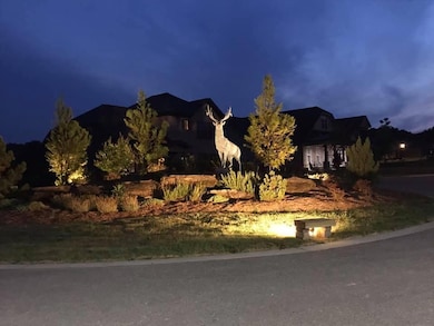 elk at night
