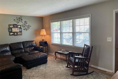 102 SW Moore Ct, Blue Springs, MO 64014 - photo 7