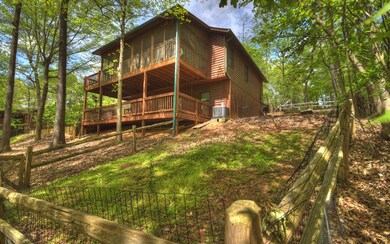 Additional View