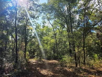 TBD NE 111th Ave, Archer, FL 32618 - photo 4