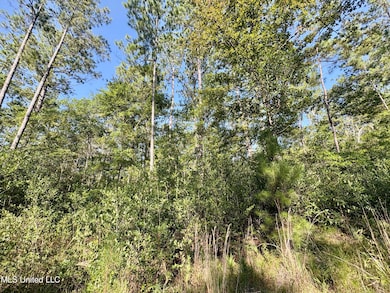 0 Washam Rd, Lucedale, MS 39452 - photo 3