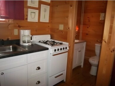 1291 Mayhew Turnpike unit Cottage  1, Bristol, NH 03222 - photo 5