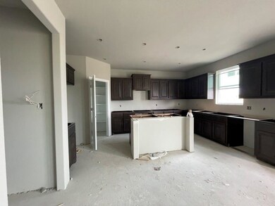 136 Prairie Trail, Rhome, TX 76078 - photo 5