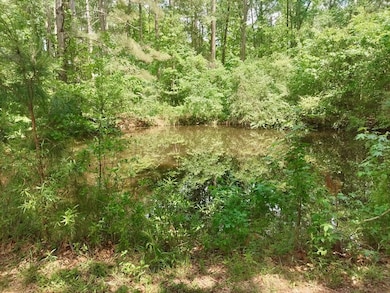 30 Sassy Ln, Laurel, MS 39443 - photo 7