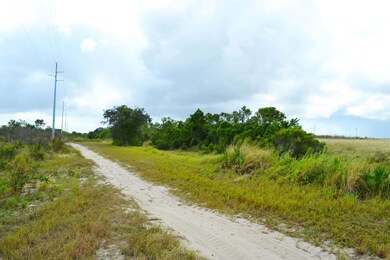 0 N Lake Patrick Rd unit 25129786, Babson Park, FL 33827 - photo 4