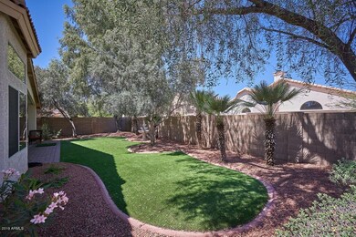 Backyard3