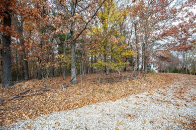 Tbd Whispering Hill Dr, Pine A Township, MO 65611 - photo 7